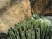 Longwood Gardens -137
