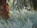 Longwood Gardens -138