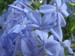 Longwood Gardens -140