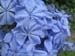 Longwood Gardens -141