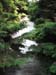 Longwood Gardens -160