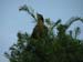 Longwood Gardens -167