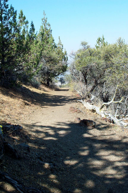 Path