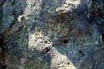Lava