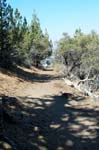 Path