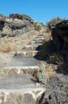 Path