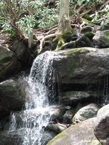 Lehigh Gorge -007