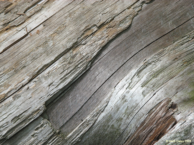 Lehigh Gorge -023
