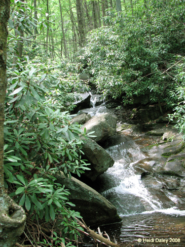 Lehigh Gorge -026-1