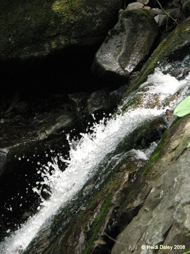 Lehigh Gorge -034