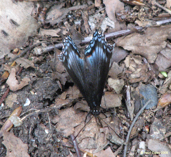 Lehigh Gorge -043-1