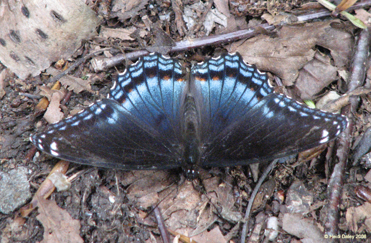 Lehigh Gorge -044-1