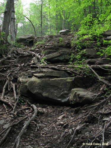 Lehigh Gorge -047
