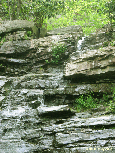 Lehigh Gorge -052-1