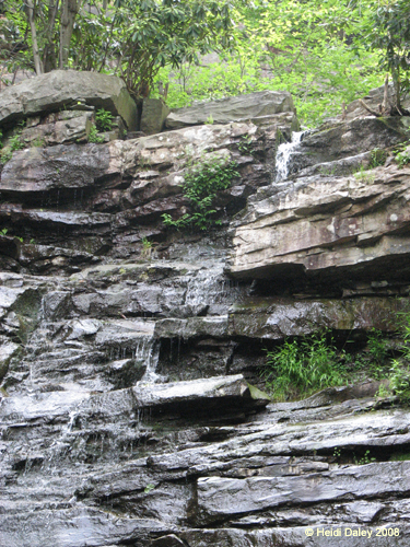 Lehigh Gorge -052