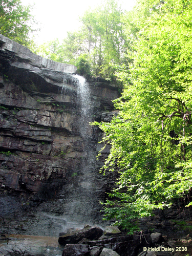Lehigh Gorge -059-1