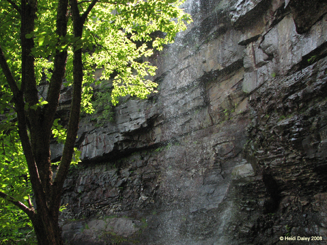Lehigh Gorge -063