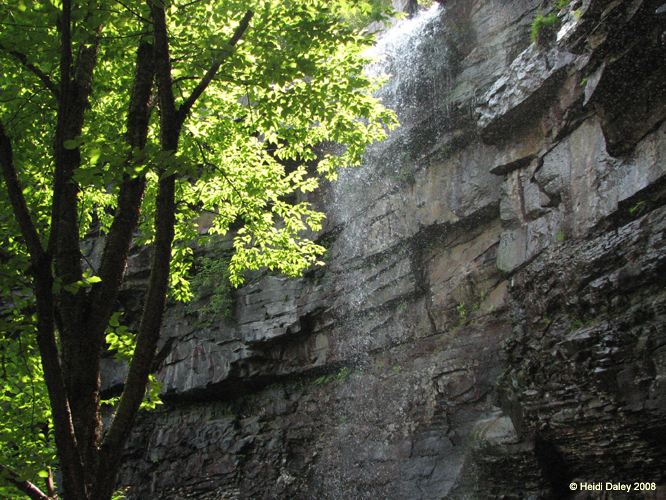 Lehigh Gorge -064
