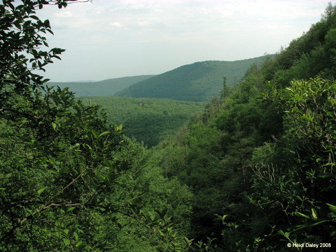 Lehigh Gorge -066-1