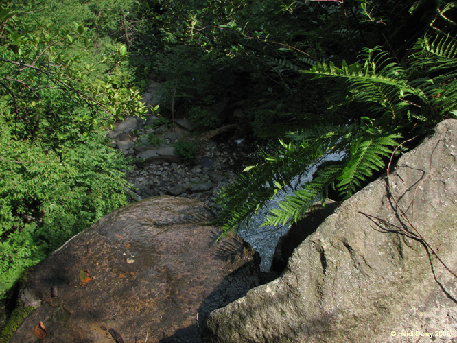 Lehigh Gorge -067