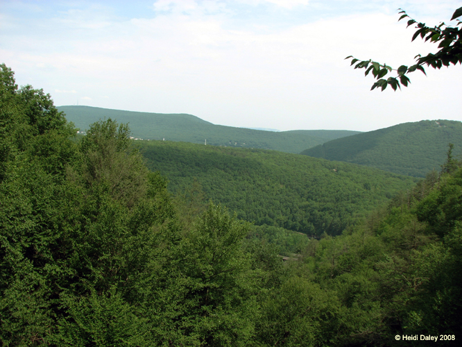 Lehigh Gorge -072-1
