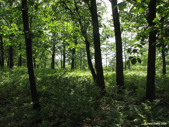 Lehigh Gorge -087
