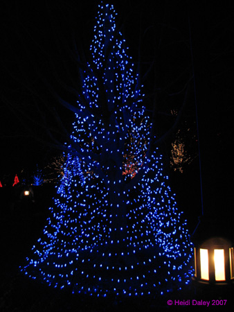 Longwood-026