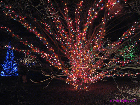Longwood-034