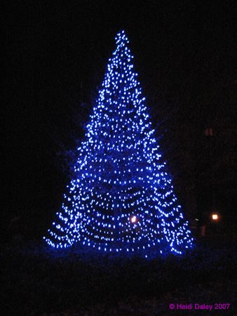 Longwood-035