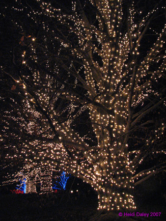 Longwood-036