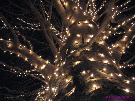 Longwood-037
