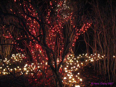 Longwood-041