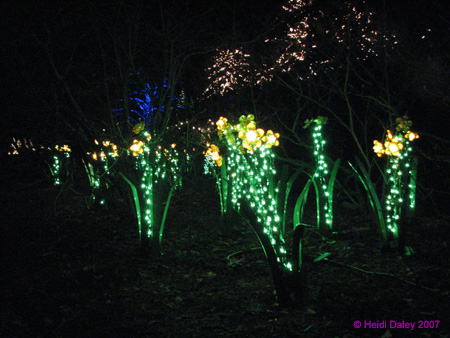 Longwood-045