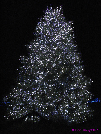 Longwood-046