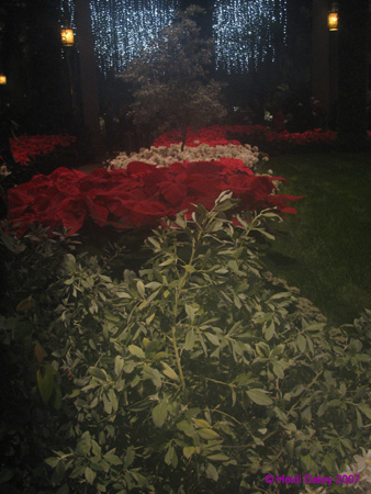 Longwood-054