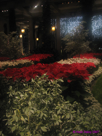 Longwood-055