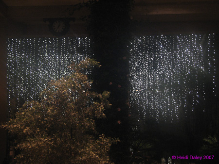 Longwood-056