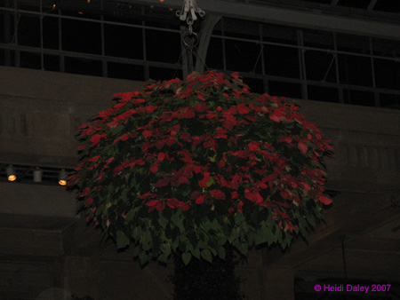 Longwood-058