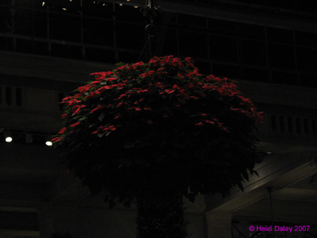 Longwood-059
