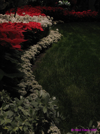 Longwood-061