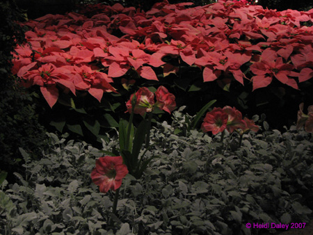 Longwood-062