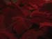 Longwood-057