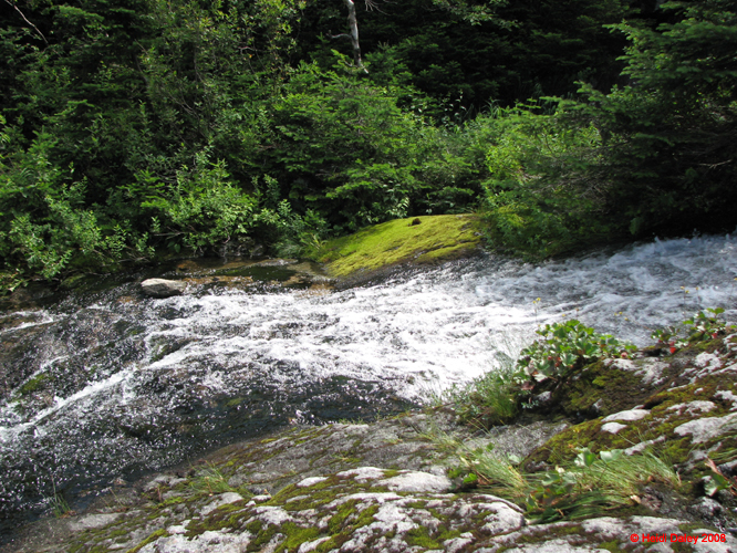 MtWashington -009