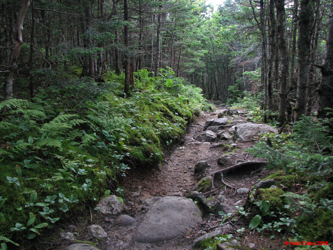 MtWashington -067