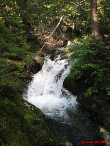 MtWashington -068