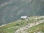 MtWashington -028