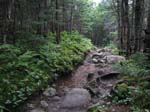 MtWashington -067