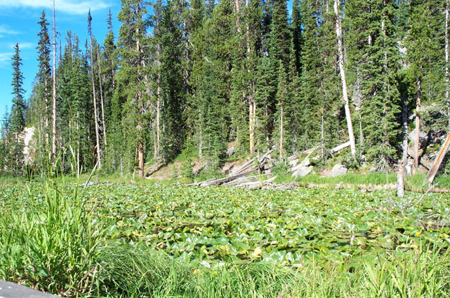 Lake