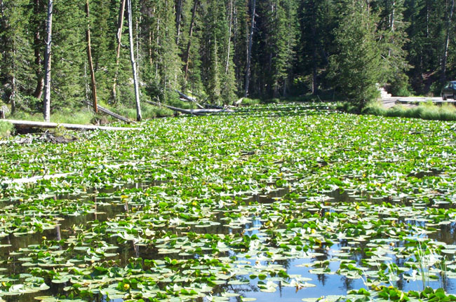 Lake