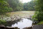 zPond